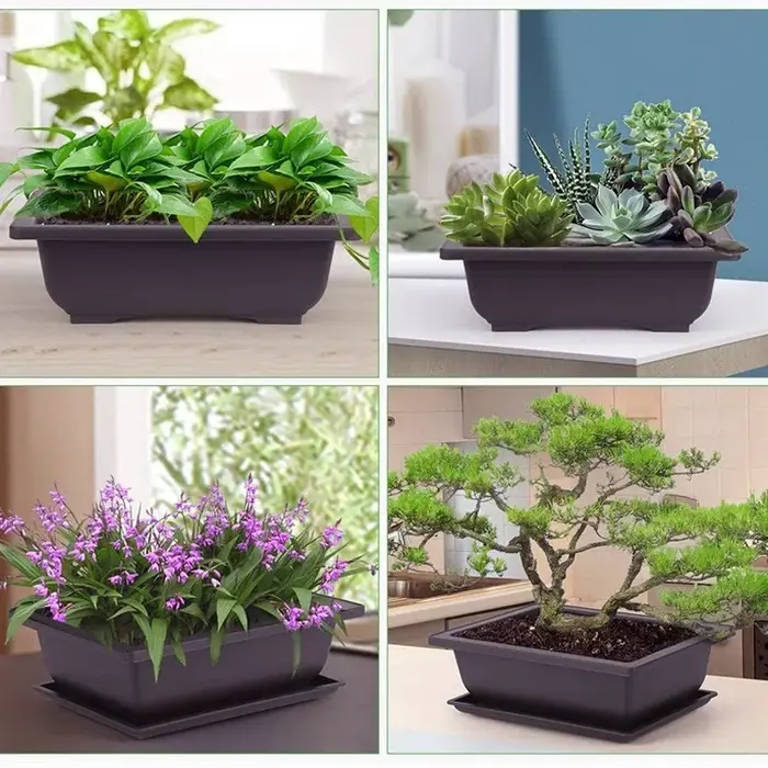 Pots d'entraînement avec escalade Pot de plantes bonsaï en plastique
