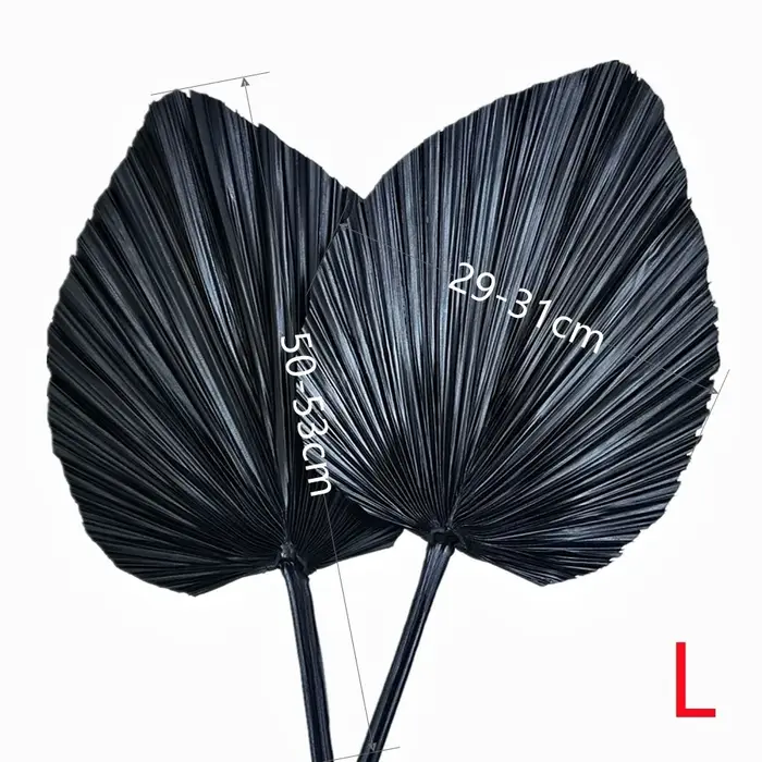 3 feuilles de palmier séchées naturelles