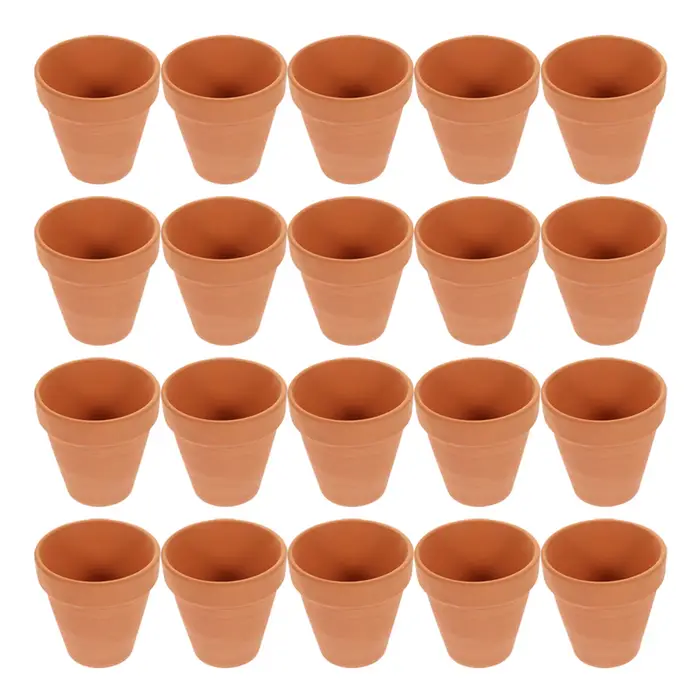 Pot de fleurs succulentes
