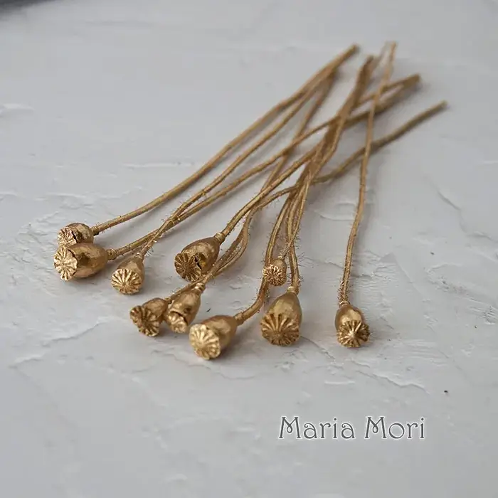 10 pièces/fleurs conservées maïs coquelicot fruits décoration de la maison bricolage matériel colle cristal bougies faites à la main fleurs époxy or argent