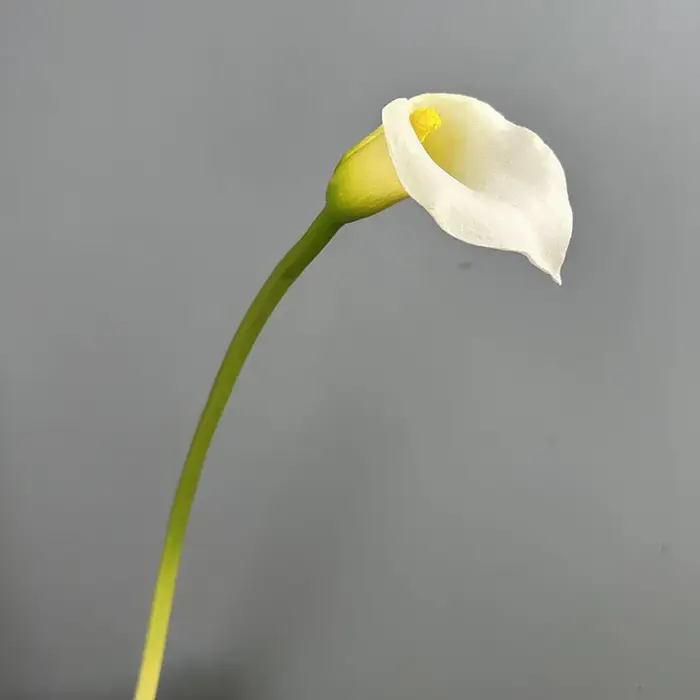 5/6 pièces de fleurs artificielles en PU au toucher réel, type Calla Lily, pour décoration de restau