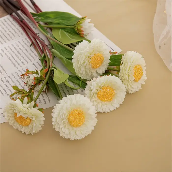 Chrysanthème à branche unique