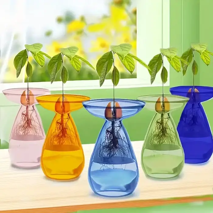 Vase hydroponique en verre Transparent coloré d'avocat, Vase de démarrage de graines d'avocat, Kit de culture de graines de plantes, amoureux du jardinage, décoration de la maison