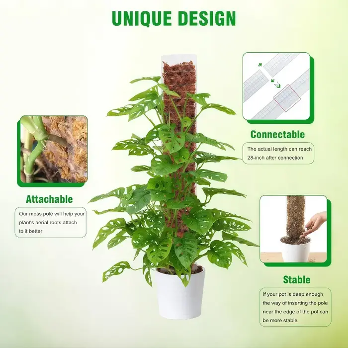 Support en plastique pour plantes grimpantes d'intérieur