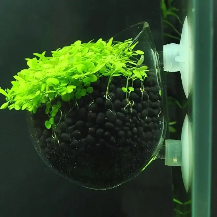 Pot de décoration pour aquarium, pot en verre pour plantes aquatiques avec support à ventouse, cylindre de plantation, accessoires pour aquarium