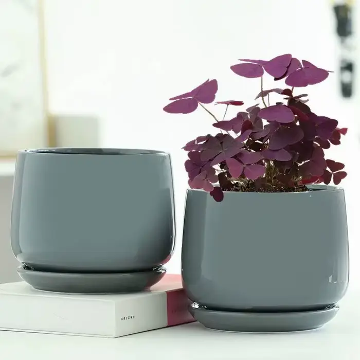 Pot de fleurs créatif en céramique