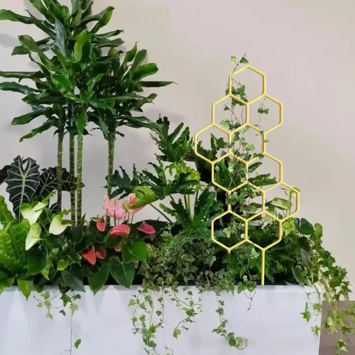 Clip de support pour plantes grimpantes
