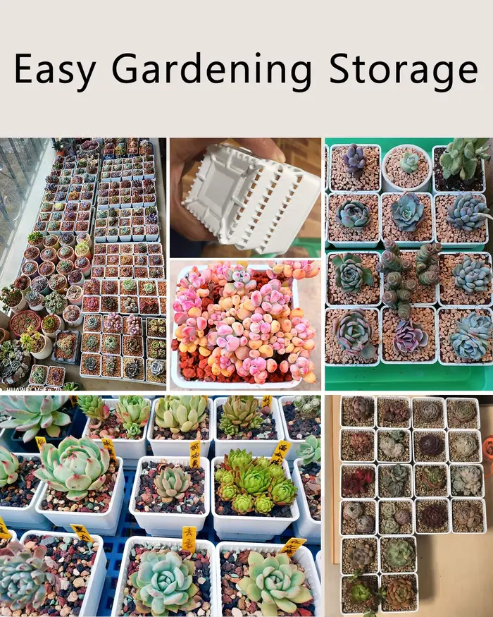 Pots succulents en maille avec trous