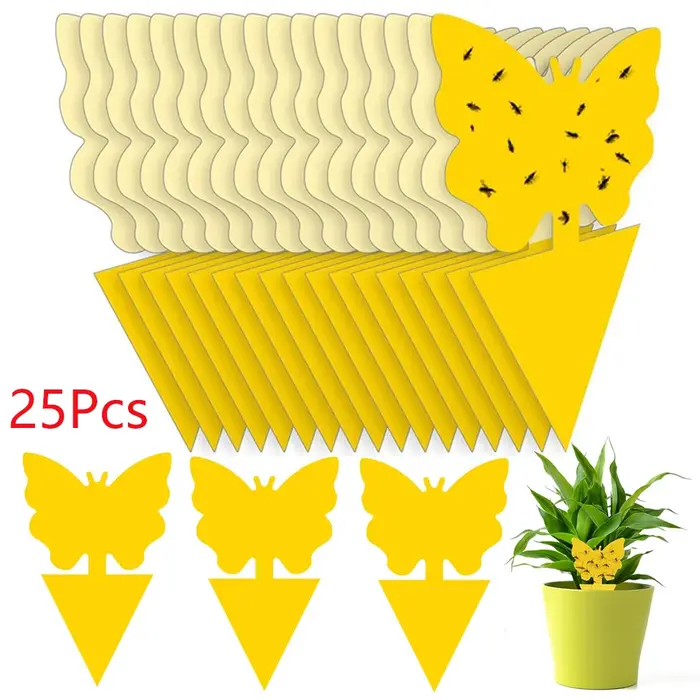 Pièges à insectes pour protéger les plantes, pièges à moucherons double face, pièges collants non to