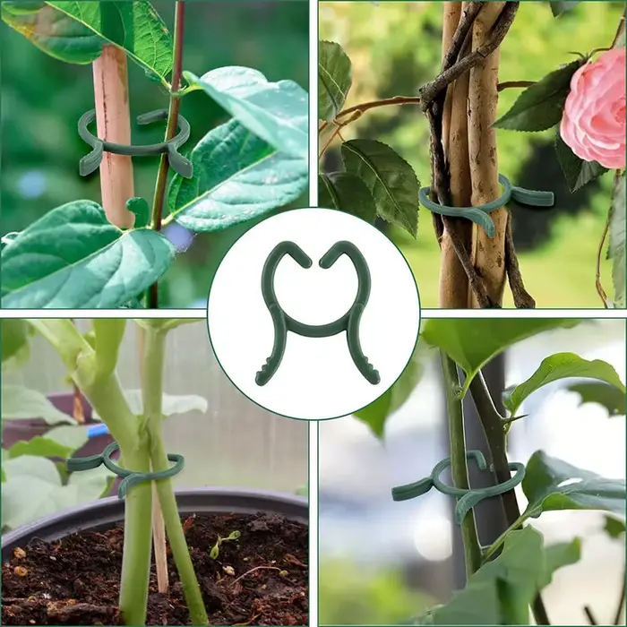 Clips de cerclage de vigne de jardin en plastique, anneau de boucle groupé pour plantes, crochet de 