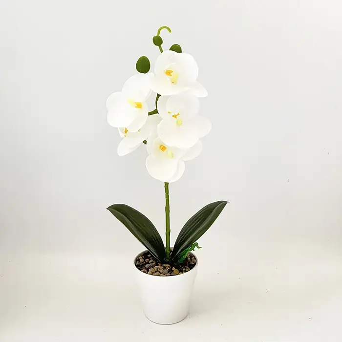Plante en pot d'orchidée artificielle, 1 pièce, plante verte Phalaenopsis bonsaï, adaptée au jardin,