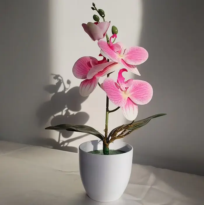 Bonsaï simulé papillon orchidée artificielle plante en pot bureau Table à manger maison