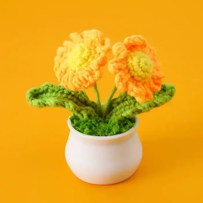 Mignon marguerite Crochet fleurs en pot tissé fleur créative