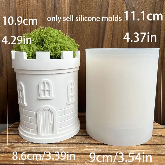 Maison de château 3D, plante succulente