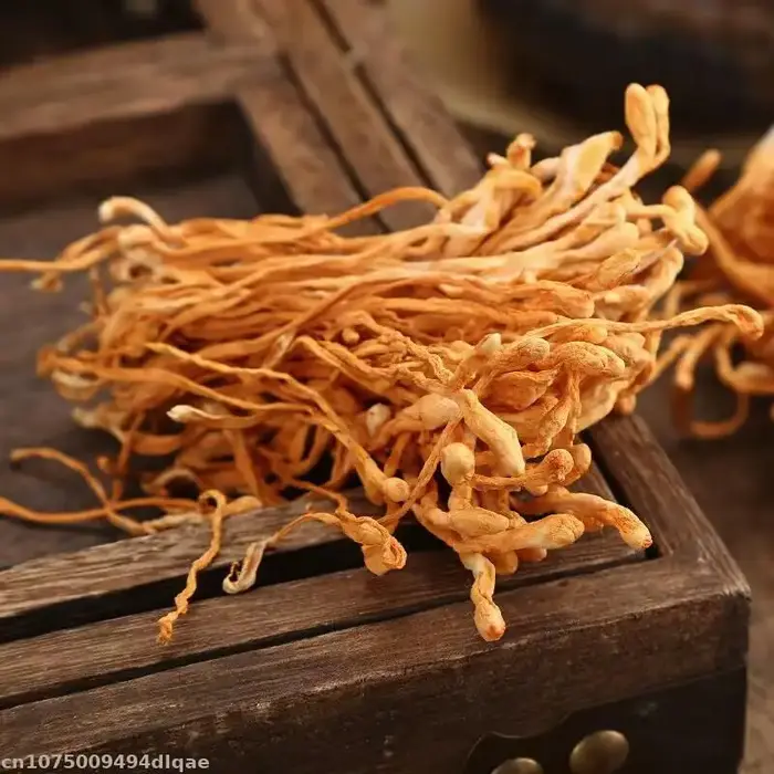Fleur de Cordyceps séchée 100% naturelle