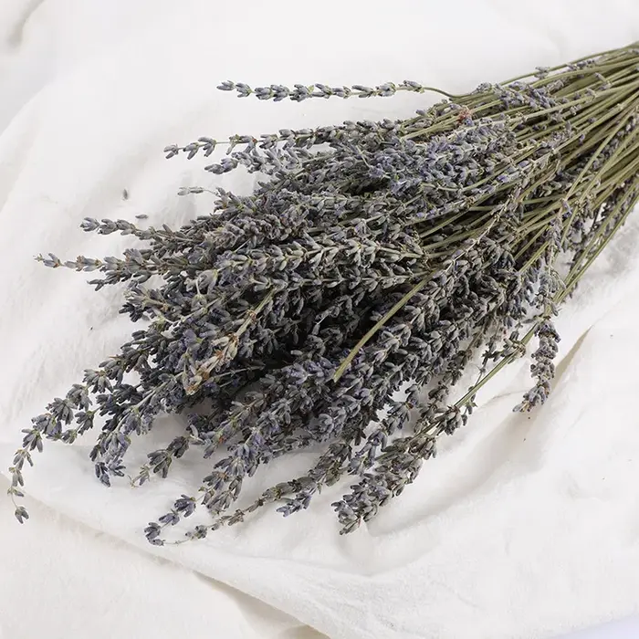 Bundles de fleurs de µséchées naturelles, Weding, Gand, ements Boho Home Garden, décoration de table