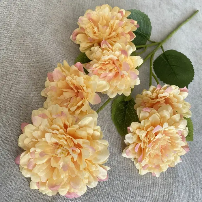 Simulation de branche de Cinerarias à 6 têtes, plante verte en soie, fausses fleurs, fleur artificie