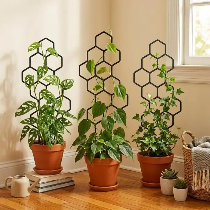 Treillis pour plantes grimpantes