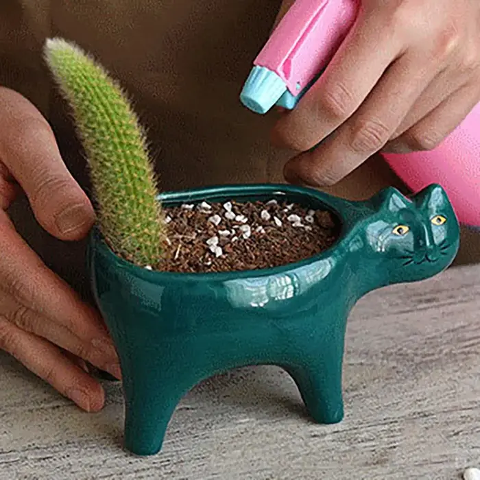 Pot de fleurs en céramique mignon pour balcon, décoration d'intérieur, plantes de cactus, conteneur pour plantes, ornements de table, pot à fleurs