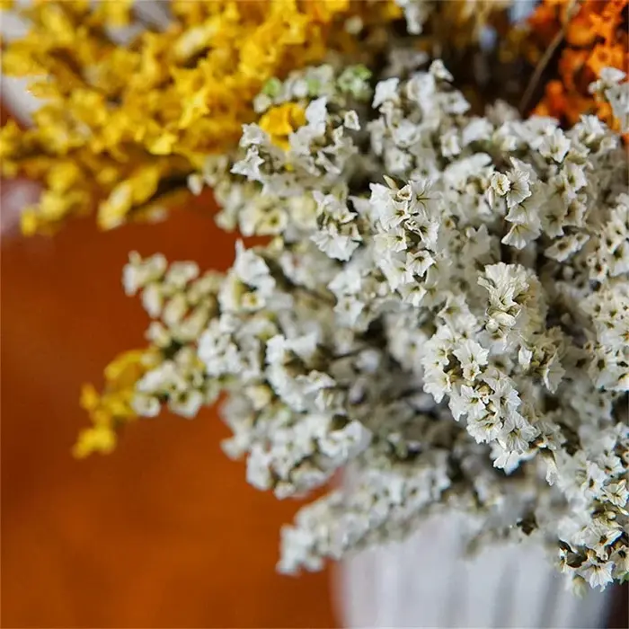 40-50cm, fleurs d'herbe en cristal séchées naturelles