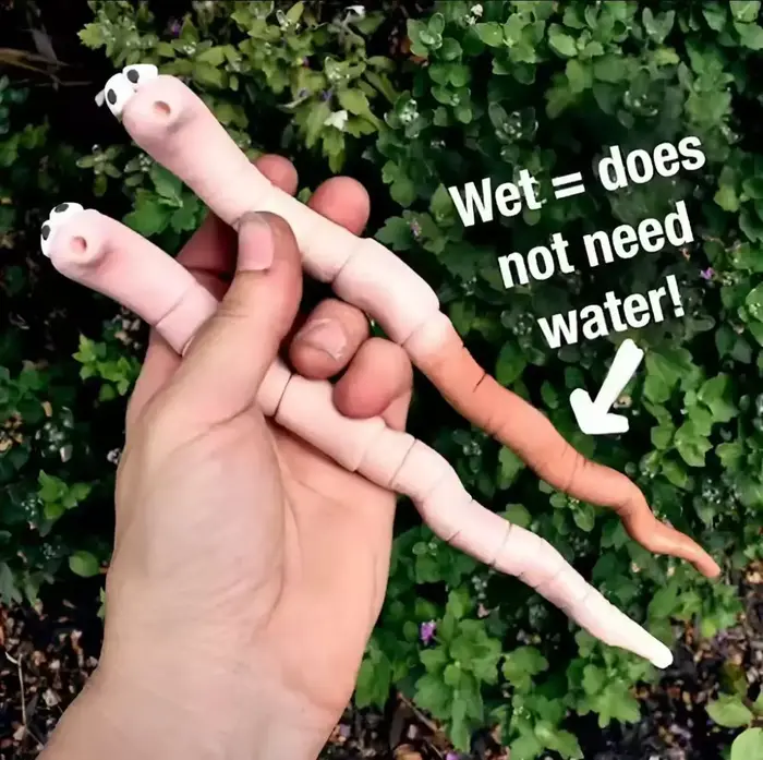 Décorations de plantes de ver de sorcière