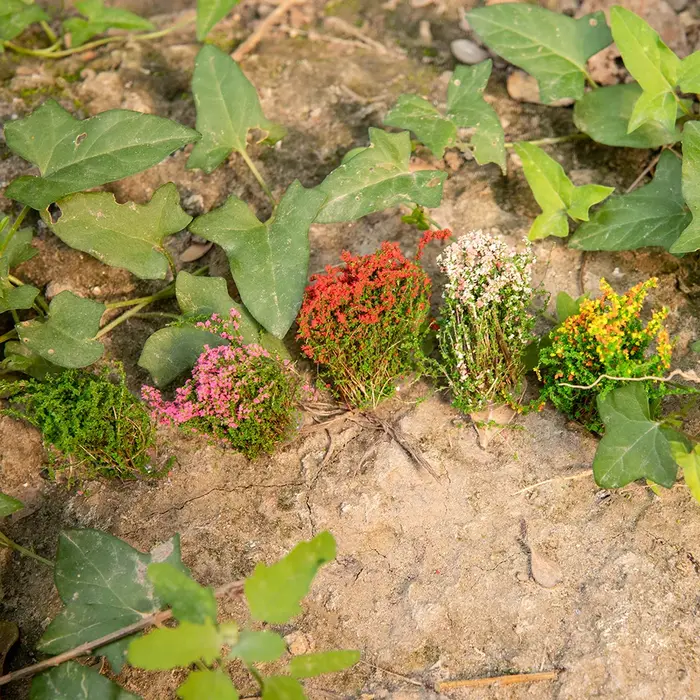 Plantes artificielles miniatures