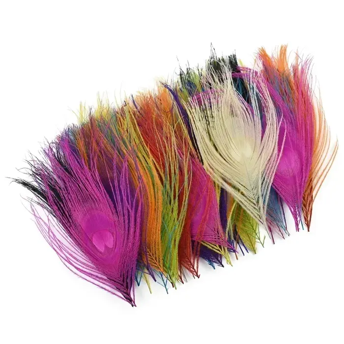 Plumes de paon colorées