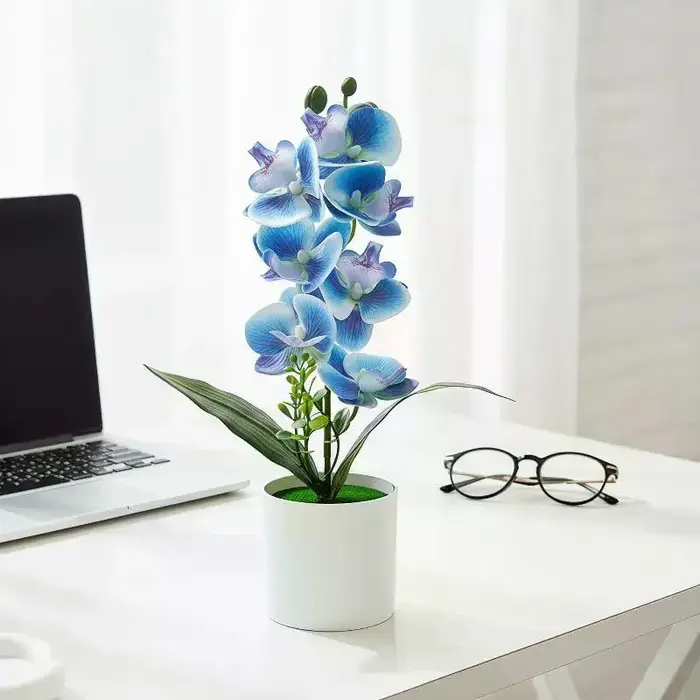 5 Plantes artificielles Phalaenopsis en pot pour la décoration de la maison et du bureau, petites plantes en pot, faux bonsaïs, plantes vertes