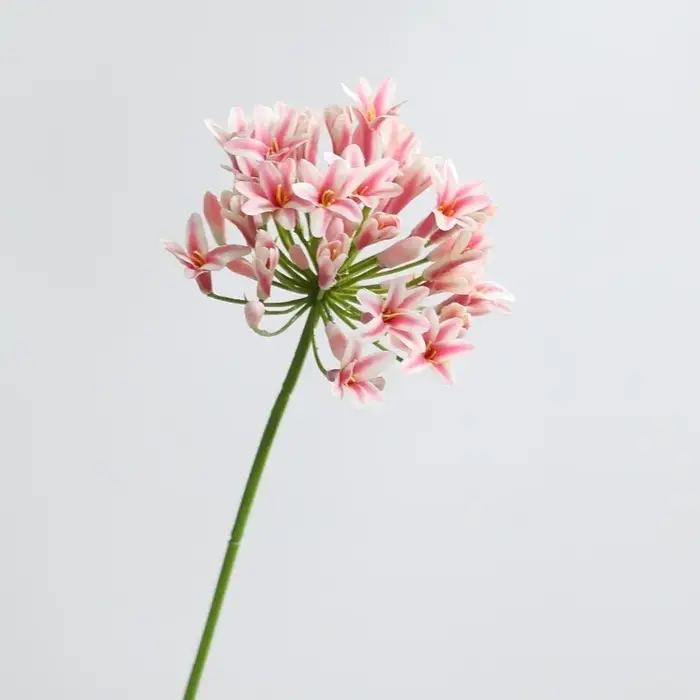 Branche de fleurs artificielles de luxe Agapanthus
