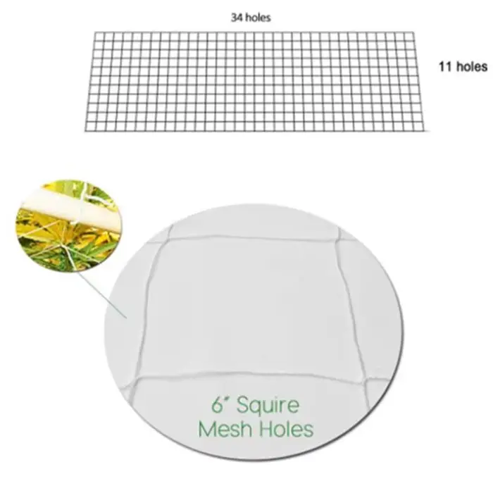 Filet d'escalade en maille pour plantes, filet de luffa pour téléphones, fleurs de vigne de gloire, 