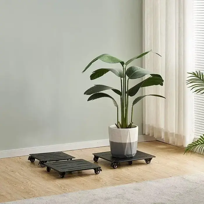 Supports pour plantes d'extérieur