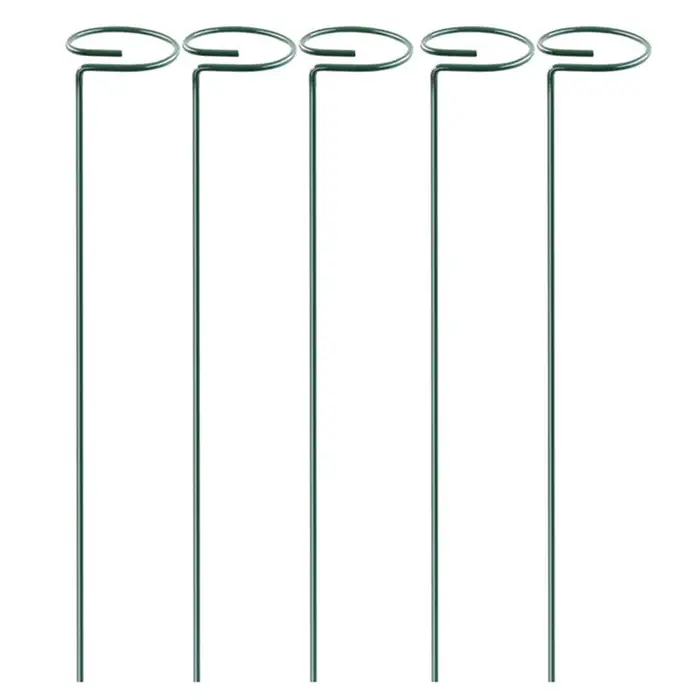 Bâtons de Support pour plantes grimpantes en pot