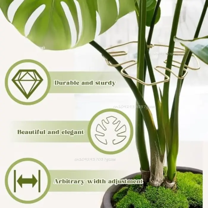 Support pour plantes hautes