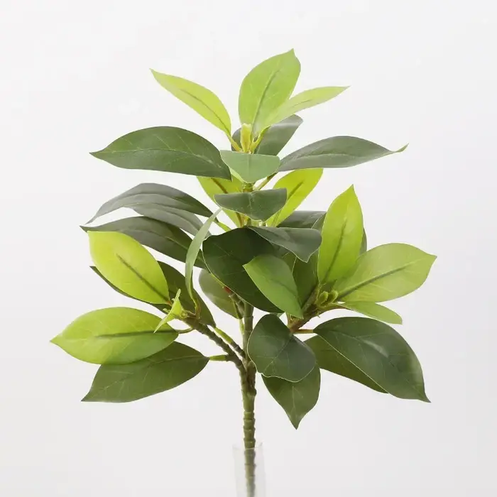 Plantes vertes en bois artificielles changeantes de documents