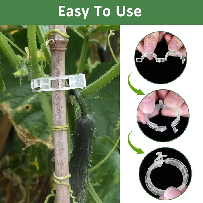 Clips de Support de plantes en plastique réutilisables