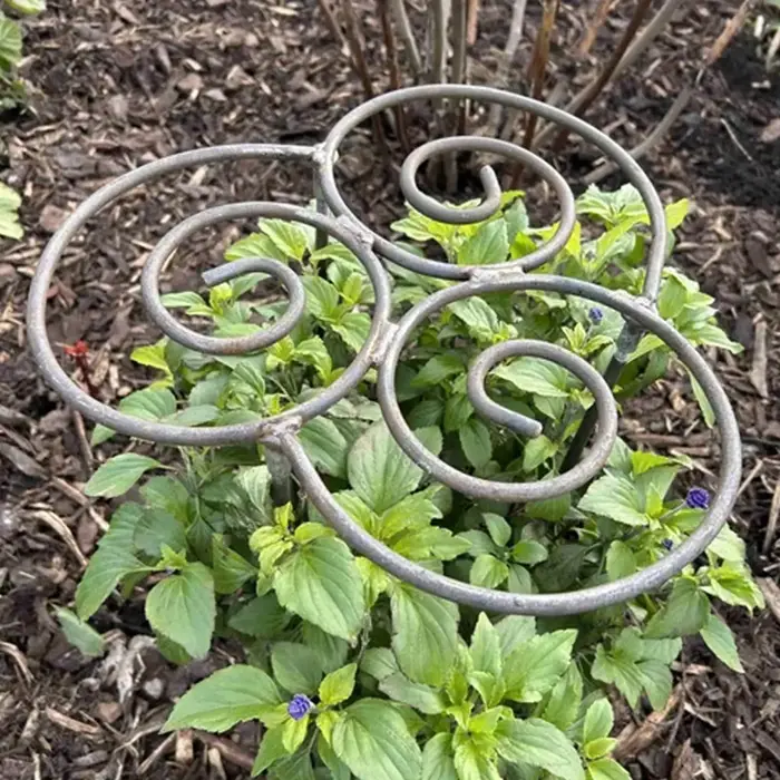 Structure de support robuste en métal pour plantes