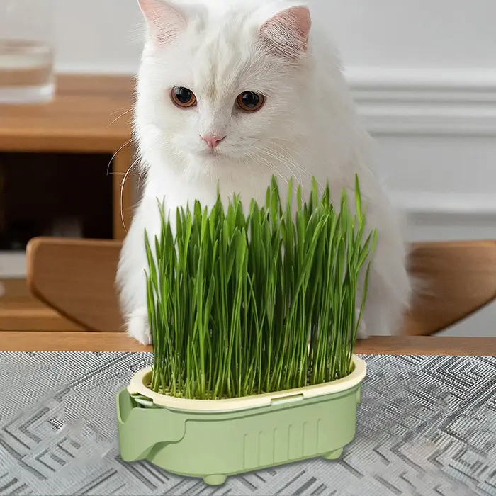 Nouveauté : Plateau de plantation pour herbe à chat en forme d'éléphant