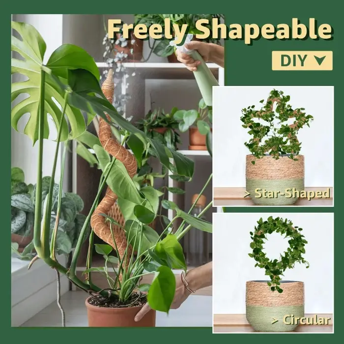 Poteau d'escalade pour plantes