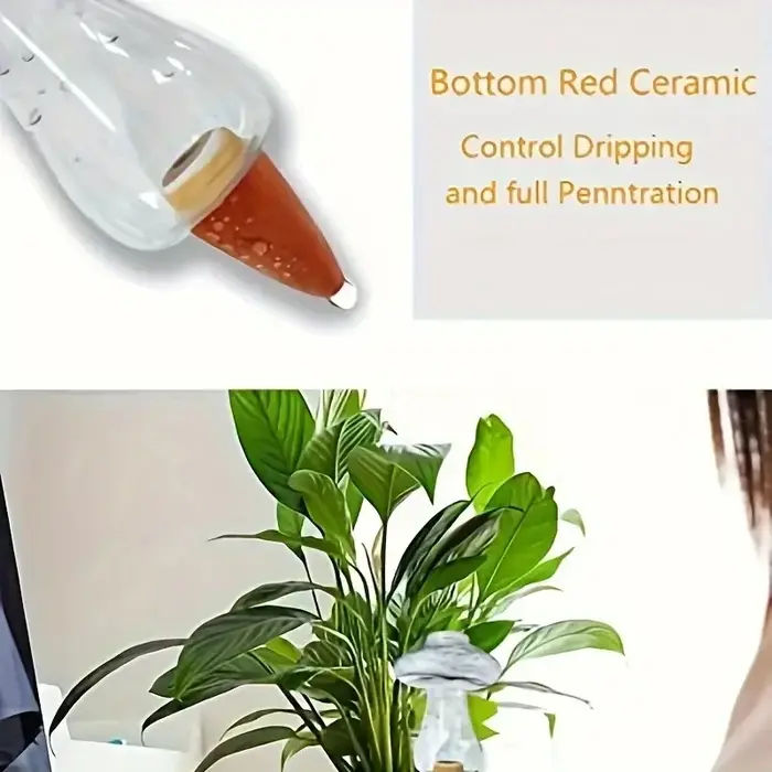 Arrosage planteur insérer amour en forme automatique plante abreuvoir pulvérisateur eau goutte