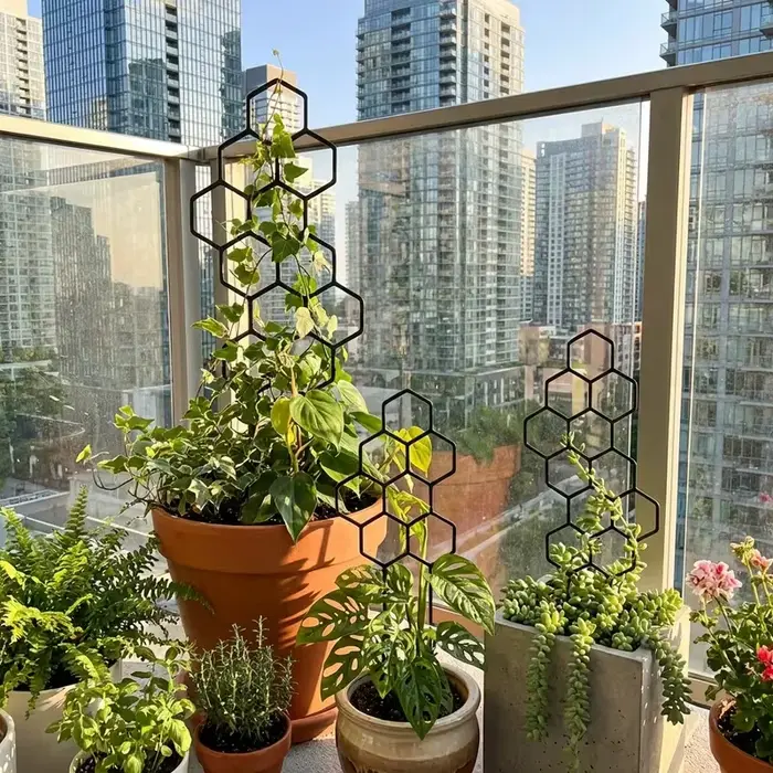 Deux supports pour plantes grimpantes en nid d'abeille de 14