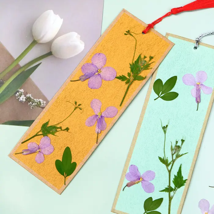 12 pièces, fleurs séchées pressées d'orchidées de février-spécimens