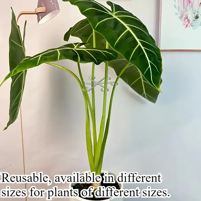 4 supports pliables anti-inclinaison pour plantes