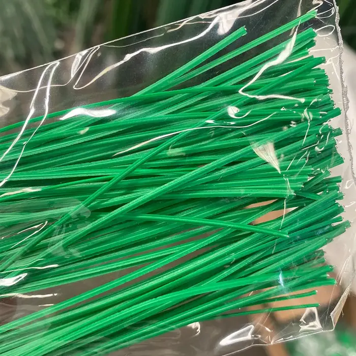 Plante grimpante de vigne verte
