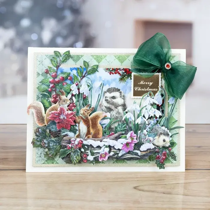 Nouvelle collection de matrices florales givrées 2026 pour le scrapbooking DIY