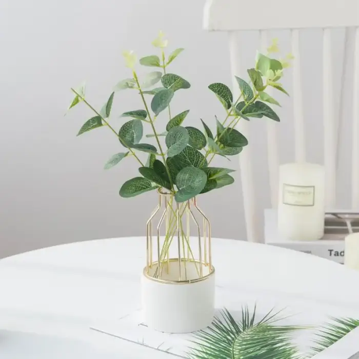 Feuilles d'eucalyptus bon marché