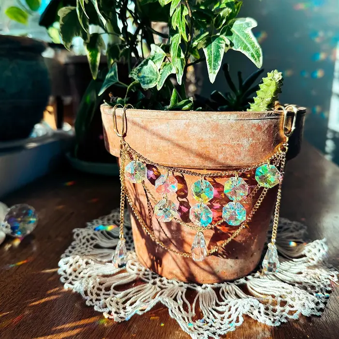 Plante attrape-soleil en cristal