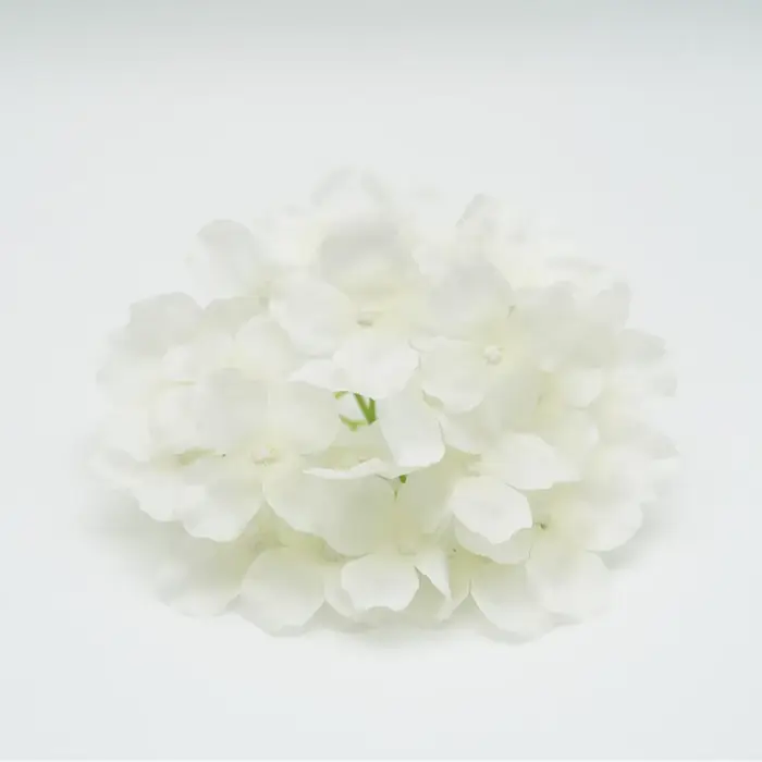 Tête de fleur d'hortensia de Simulation