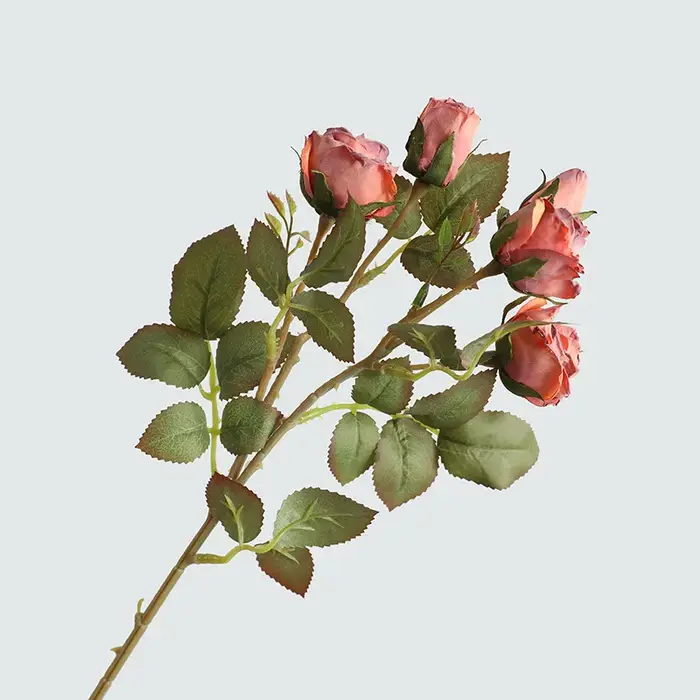 Exposition de fausses fleurs artificielles pour faire de vieilles roses à bord de coke, bouquet de 5