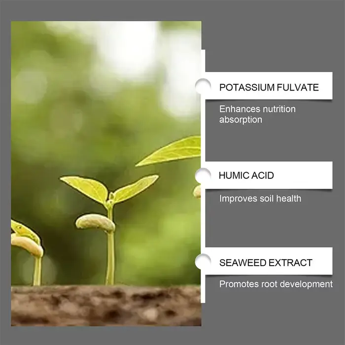 Conditionneur de sol naturel pour plantes en pot