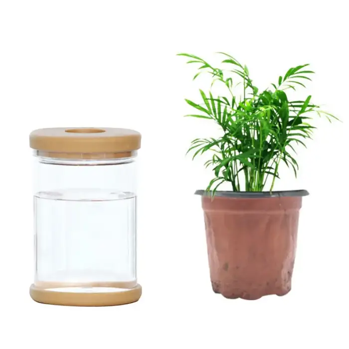 Vase hydroponique en plastique transparent pour la décoration de la maison